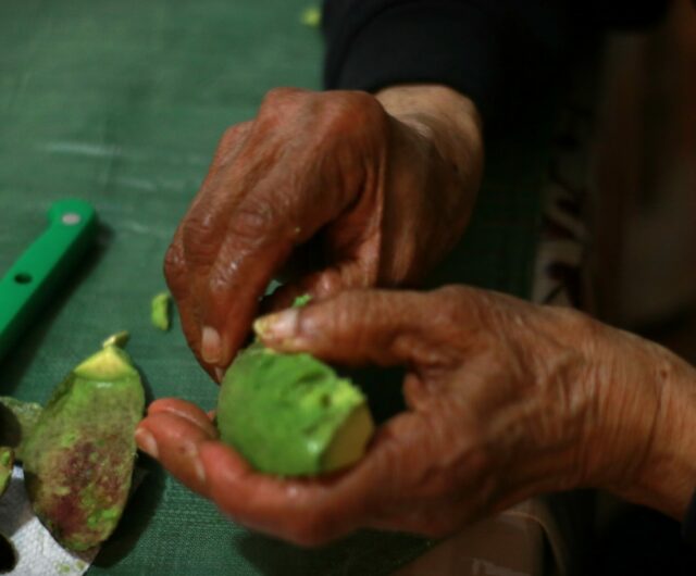 Close-up of woman's weathered hands cutting and peeling an avocado
