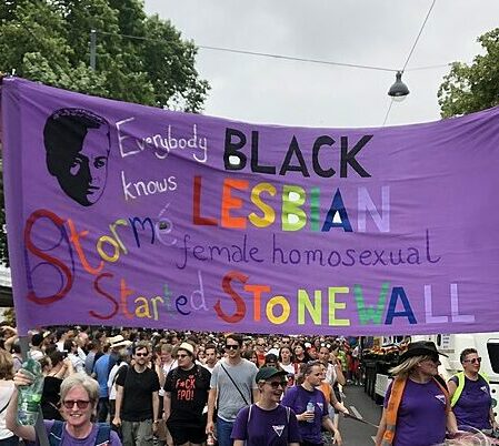 Banner that says "Everyone knows Stormé, a black lesbian female homosexual, started Stonewall."